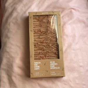 Copper String Lights